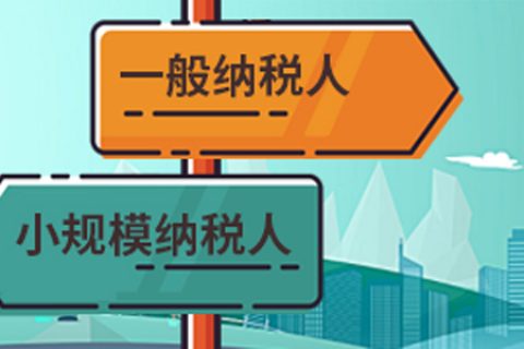 拉薩一般納稅人做賬報(bào)稅代理費(fèi)用為什么高于小規(guī)模納稅人？