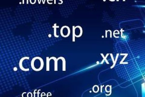 拉薩網(wǎng)站建設常見問題之什么是域名？如何購買和選購域名？