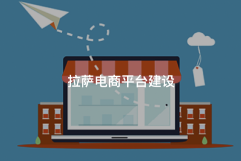 拉薩商城開(kāi)發(fā)怎么做？主流拉薩商城網(wǎng)站搭建方式對(duì)比